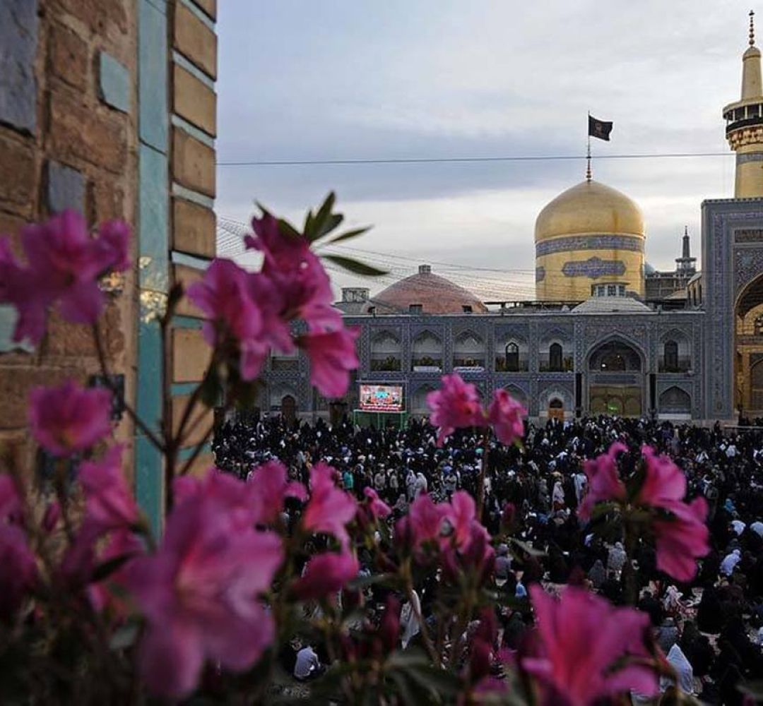 محبت امام رضا، پیوند قلبی ملت ایران