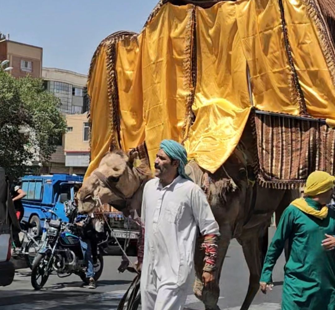 حرکت نمادین کاروان نینوا در شهر بیرجند